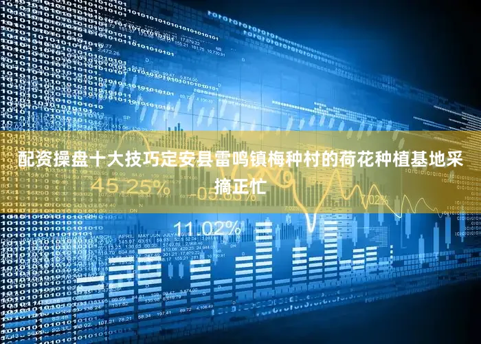 配资操盘十大技巧定安县雷鸣镇梅种村的荷花种植基地采摘正忙