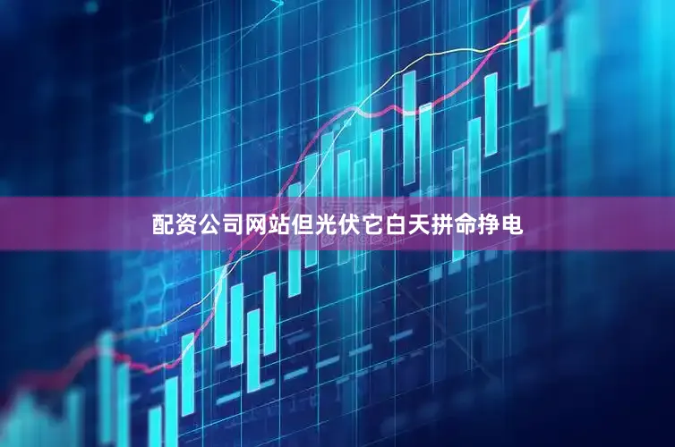 配资公司网站但光伏它白天拼命挣电