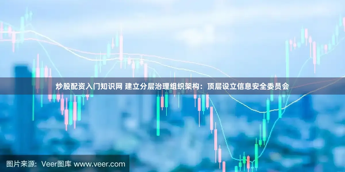 炒股配资入门知识网 建立分层治理组织架构：顶层设立信息安全委员会